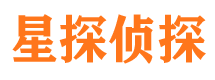 九原侦探公司